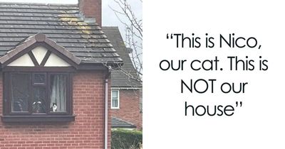 50 Hilarious Cat Posts Shared By “Cats Doing Things” That Cat Owners Might Relate To