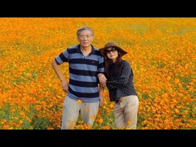 China man sells his house, buys land, and collects seeds from China and overseas to turn wife’s childhood flower memory into world’s largest hollyhock garden