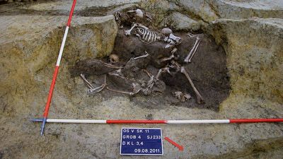 7 Roman-era skeletons found in Croatian mass grave may be soldiers who died in the Battle of Mursa 1,700 years ago
