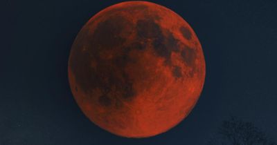 When to see upcoming lunar eclipse in the UK after solar eclipse dazzles skies