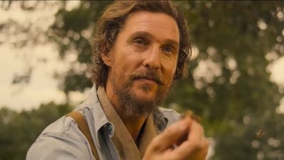 Matthew McConaughey Is Allergic To Bees. Naturally, He Worked With '1000s' On His New Movie