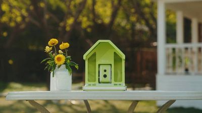Birdfy just gave its smart bird feeder a serious design upgrade with better AI detection than before