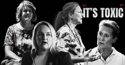 They put their hands up for public office. Then the abuse began.