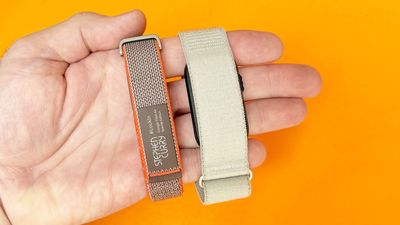 I walked 5,000 steps with the Fitbit Air vs Garmin Cirqa — Round 2: We have a new champ
