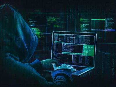 US takes risky bet on private 'pirates' to combat cybercrime