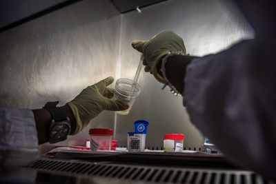 CDC Detects a Resistance Gene in a Massachusetts Bacterial Sample That Routine Lab Tests Would Likely Miss