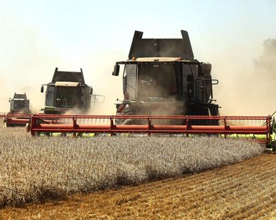 Ukraine war briefing: Zelenskyy warns Egypt of food supply threat caused by Russian strikes in Black Sea