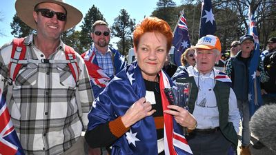 Minister slaps down Hanson's latest immigration call