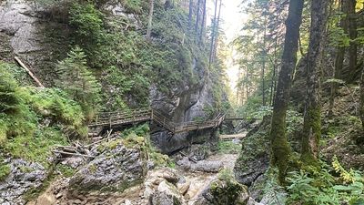 Dried up creeks and missing waterfalls: What I found on a trip to Austria’s most famous gorge
