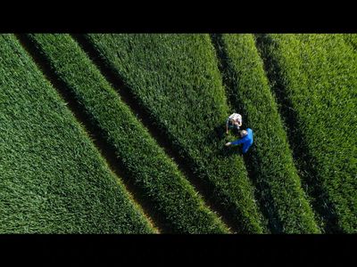 Crop buyers cut off from Black Sea are turning to other origins