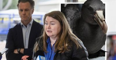 Fifth case of bird flu confirmed in NSW as Commonwealth approves vaccine