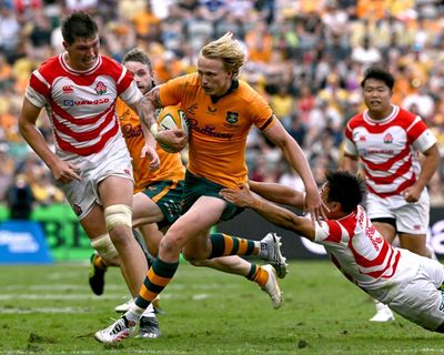 Carter Gordon impresses on return as Wallabies surge clear of Japan for dominant win