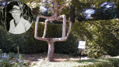 In 1925, a California farmer bent trees into strange shapes for his daughter: some are still alive nearly 100 years later