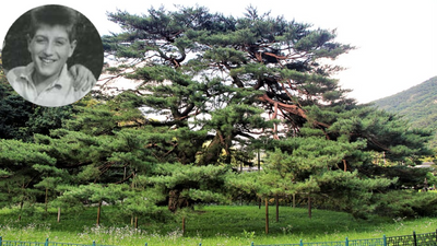 In 1993, a mother planted the first tree for her late son Ryan: Israel planned an entire 10,000-Tree forest around it