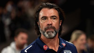 Cats coach 'not privy' to Kolodjashnij update