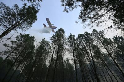 European wildfires: Latest developments