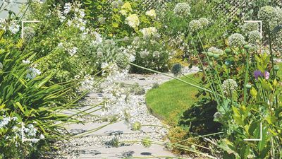 Forget flower beds and greenhouses – professional gardener reveals the unexpected place he prefers to grow plants from seeds