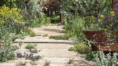 If You Only Have 15 Minutes to Garden, These Are the Jobs Experts Say Are Worth Your Time in Summer