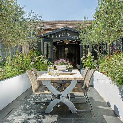 Frances Tophill reveals the controversial paint colour she uses on sheds and fences – 'it creates a really beautiful backdrop for the plants'