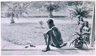 Alice Seeley Harris took her camera to the Congo on her honeymoon in 1898. Her gruesome photograph of severed hands helped to end one of history's greatest wrongs