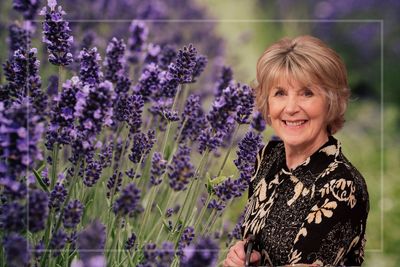 Nancy Birtwhistle shows how to make lavender wands - they're pretty, free and offer a simple solution to a common household problem