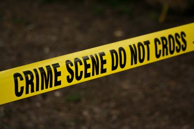 Hospital Worker Accused of Hoarding Human Body Parts: Police Say They Found Skulls, Brain and Heart in Budapest Flat