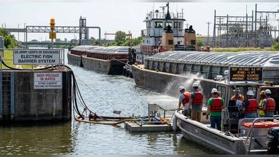 Earlier this year, the U.S. Army Corps tested Chicago's invasive-carp barrier at 3 electrical levels. Now, engineers know how the system behaves when voltage rises to 4.6 volts per inch, helping prepare for a future Great Lakes invasion threat