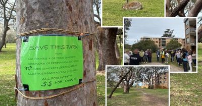 'Grid of concrete': Port Stephens beach pathway fight escalates