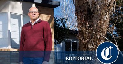Bureaucratic battle over a single suburban gum tree is absurd