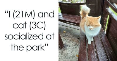 77 Photos That Have Nothing Remarkable About Them And Have No Business Being This Entertaining (New Pics)
