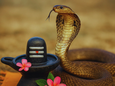 Nag Panchami 2026 date: Check puja muharat, rituals and important dos and don’ts