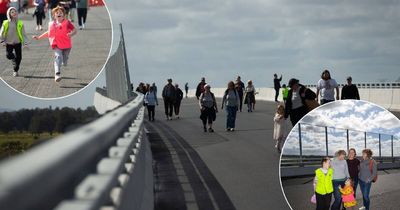A 'once-in-a-lifetime' walk on the nearly finished M1 to Raymond Terrace extension