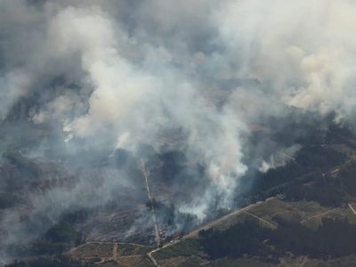 Belgium's biggest wildfire on record heads towards Germany
