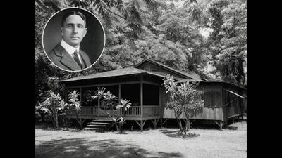 In 1899, Harvard graduate James Dole came to Hawaii to grow coffee, but his failed plan B turned him into the “Pineapple King” and built a pineapple empire that became famous worldwide