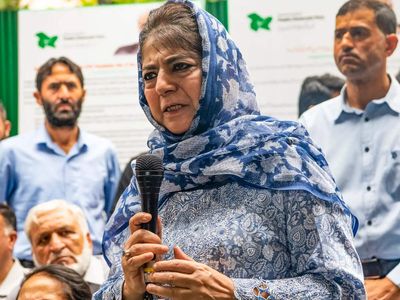 I support Article 370. I'm a dimaagi Naxal: Former chief minister Mehbooba Mufti