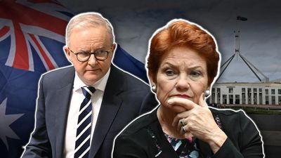 'Don't stuff it': Labor relishes One Nation super fight