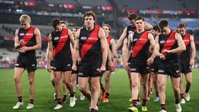 'Wade through the swamp': fans urged to back Bombers