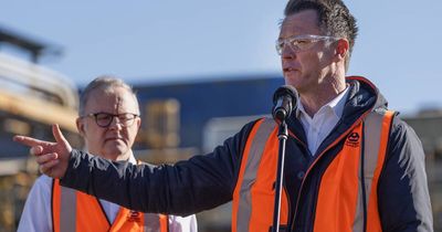 'We don't have a choice': Premier says Hunter renewables to roll on despite tempers flaring