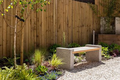 How to climate-proof your garden: The plant swaps I'll be making for next summer