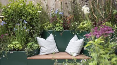 If Your Garden Looks Scorched After Summer Heat, Try These 5 Ways to Bring It Back to Life