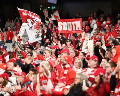 Sydney Swans AFL players investigated over alleged sexual assault at Melbourne hotel