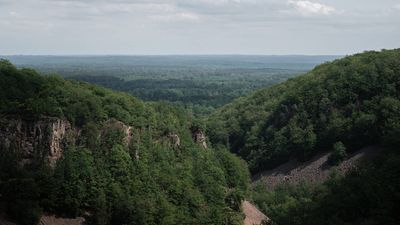 Much of Sweden's Söderåsen plateau became more open in the 18th and 19th centuries; in 2001, 1,625 hectares were protected as a national park, and today it is one of northern Europe's largest continuous protected broadleaf forests