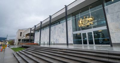 Vet says cat's injuries were not 'natural' in bestiality trial