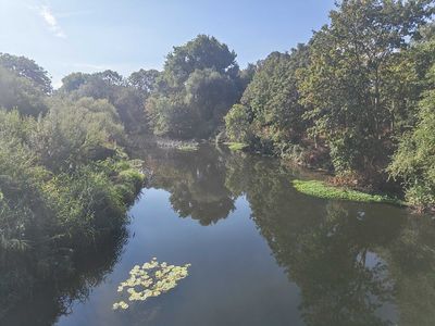Boy, 12, drowns in River Lea near Hackney Marshes