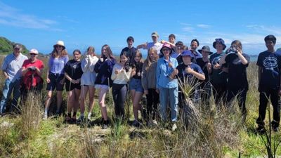 In 1997, a New Zealand teacher began planting a windswept coastal paddock with Year 9 students; 29 years later, 12,425 plants have turned it into native habitat