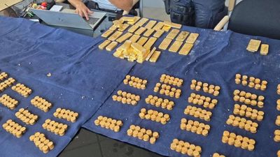 Belgian student in construction job uncovers €9m gold treasure while digging sewer trench