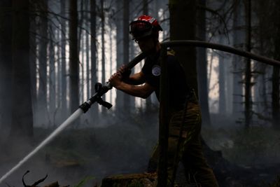 Wildfire in Belgium’s High Fens becomes nation’s largest