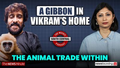 Vikram’s Lar Gibbon video and TN Speaker’s anti-abortion speak