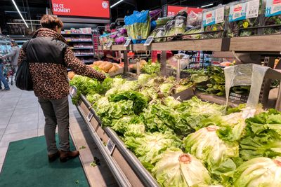 Cyclospora Cases Soared More Than Tenfold as U.S. Disease Surveillance Was Scaled Back