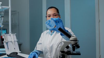 A Synthetic Sugar Protected Mice Against a Drug Resistant Hospital Fungus That Has No Vaccine Today